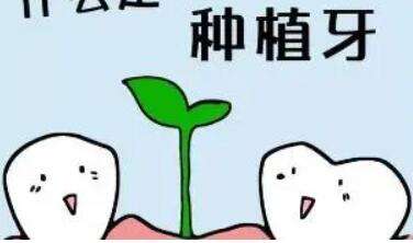 牙齿种植动漫55.jpg 牙齿种植动漫55.jpg