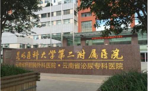 昆明医科大学第二附属医院.jpg